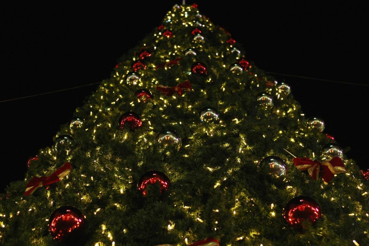 Na samo 2 sata od Srbije nalazi se najveći božićni sajam u Evropi: Za ovaj grad do skoro niko nije znao, a sad je epicentar zimskog turizma Na samo 2 sata od Srbije nalazi se najveći božićni sajam u Evropi: Za ovaj grad do skoro niko nije znao, a sad je epicentar zimskog turizma