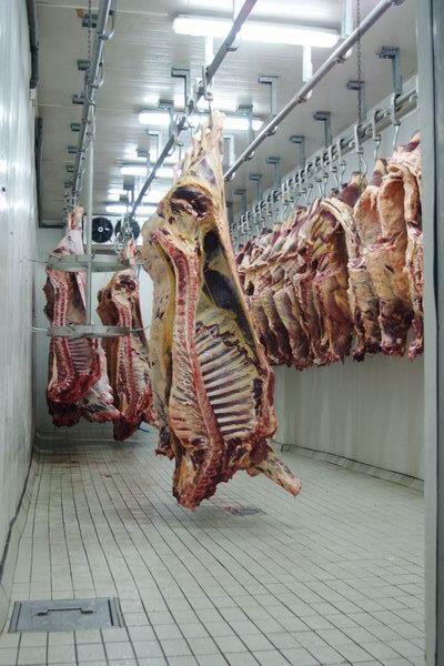 Čačane varali u mesarama: Dok nismo videli da je klanica zatvorena, nismo ni znali da radi nelegalna Čačane varali u mesarama: Dok nismo videli da je klanica zatvorena, nismo ni znali da radi nelegalna