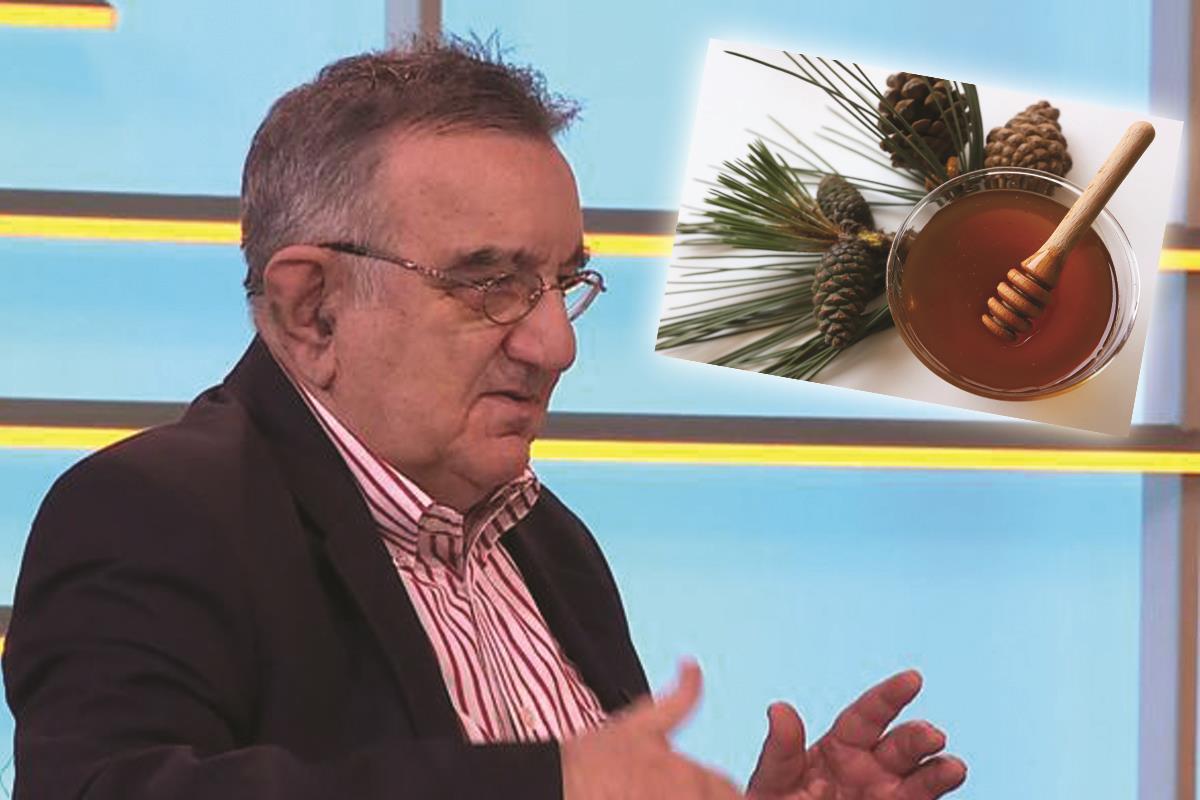 DR PERIŠIĆ TVRDI DA JE MED OD BOROVIH IGLICA ZDRAVIJI OD PČELINJEG: Ne ...