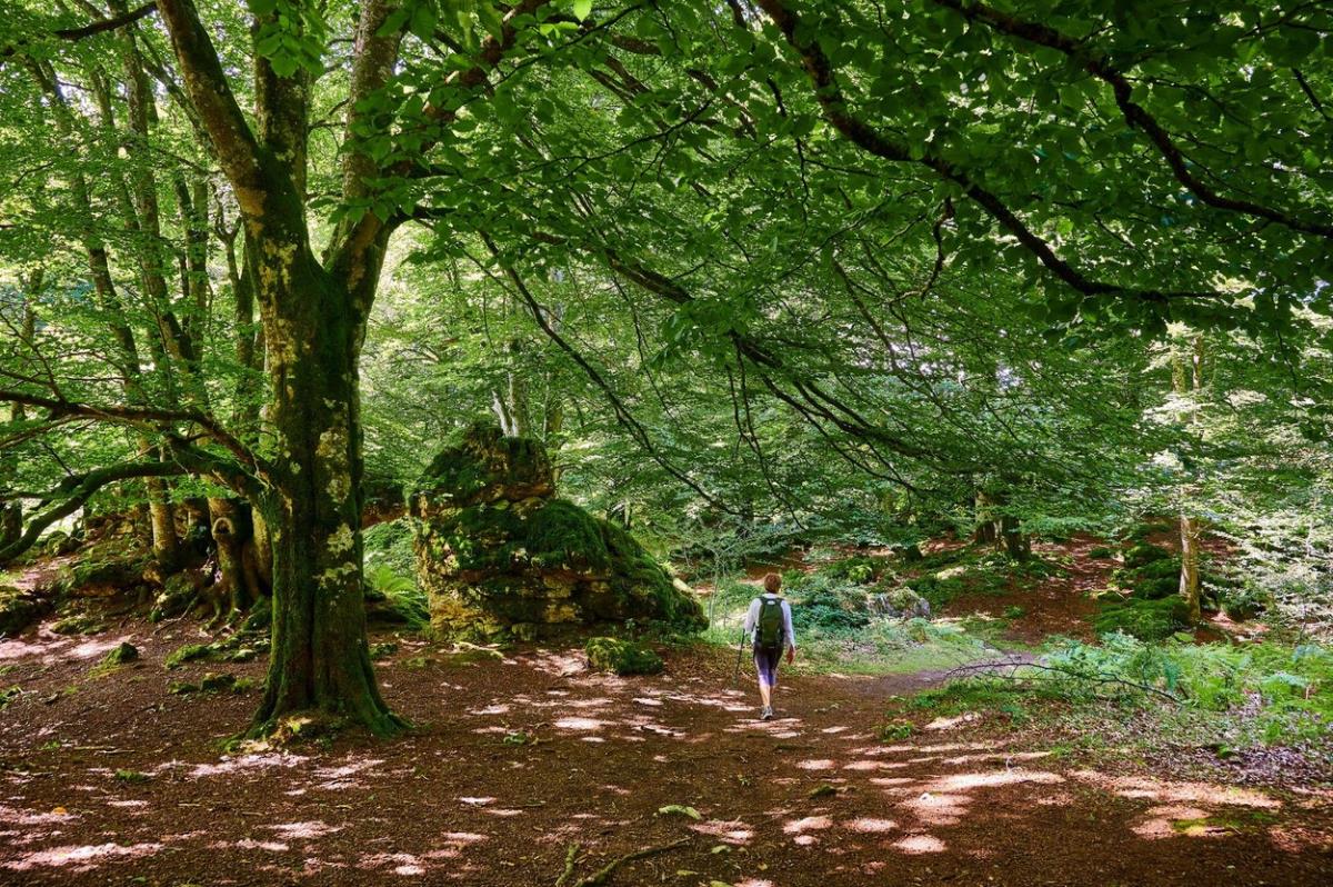 Banja u kojoj izviru lekovite termalne vode! Svi sa reumatskim problemima su se tamo preporodili, a tu je i čudesna staza Banja u kojoj izviru lekovite termalne vode! Svi sa reumatskim problemima su se tamo preporodili, a tu je i čudesna staza