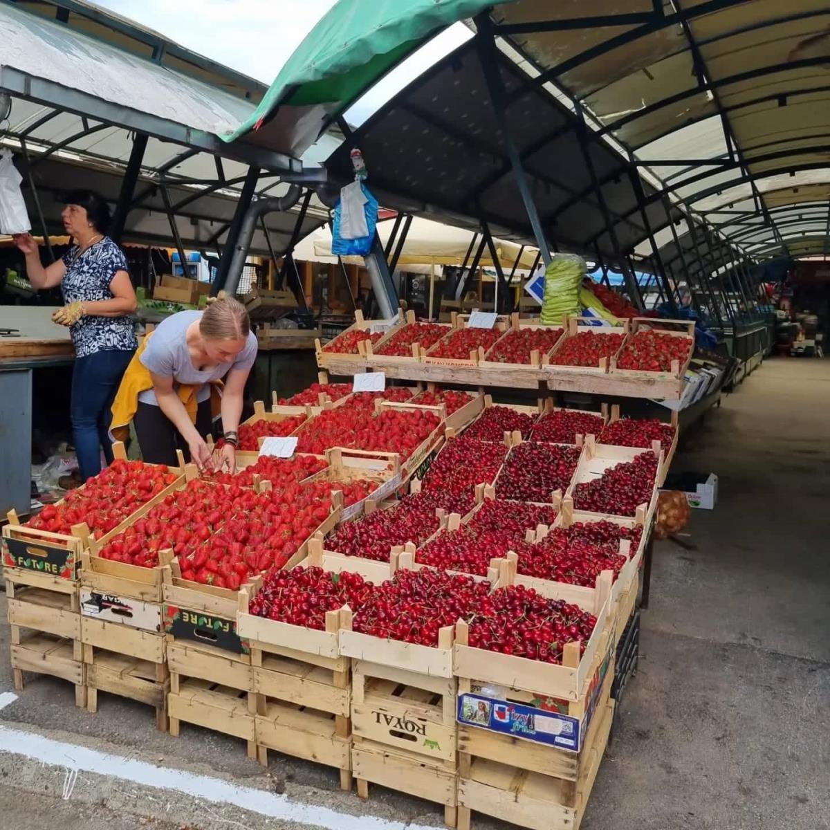 Mislite da je u Beogradu voće skupo, onda niste bili ovde! Cena trešanja obara s nogu, a sve zbog jednog događaja Mislite da je u Beogradu voće skupo, onda niste bili ovde! Cena trešanja obara s nogu, a sve zbog jednog događaja