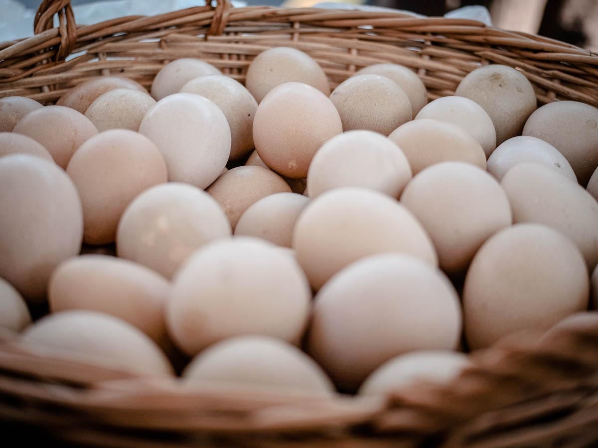 VLASNIK FARME KOKA NOSILJA VARAO KUPCE! Uvozio ih iz Nemačke pa prodavao kao domaća, kupci ga odmah prijavili! Ovako su ga razotkrili! VLASNIK FARME KOKA NOSILJA VARAO KUPCE! Uvozio ih iz Nemačke pa prodavao kao domaća, kupci ga odmah prijavili! Ovako su ga razotkrili!
