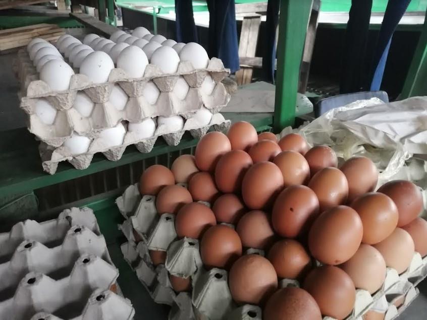 GDE SE PRODAJE JAJE ZA SAMO 7 DINARA PO KOMADU?! Najskuplja jaja se prodaju u Šapcu, a u ovim gradovima su najniže cene GDE SE PRODAJE JAJE ZA SAMO 7 DINARA PO KOMADU?! Najskuplja jaja se prodaju u Šapcu, a u ovim gradovima su najniže cene