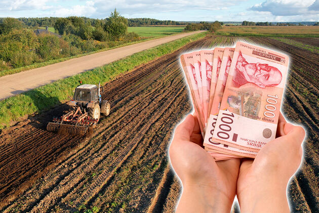 Njive gore, usevi se suše, loša godina uzela više od polovine prinosa: Srpski seljak sabira štetu, a ova statistika je poražavajuća Njive gore, usevi se suše, loša godina uzela više od polovine prinosa: Srpski seljak sabira štetu, a ova statistika je poražavajuća