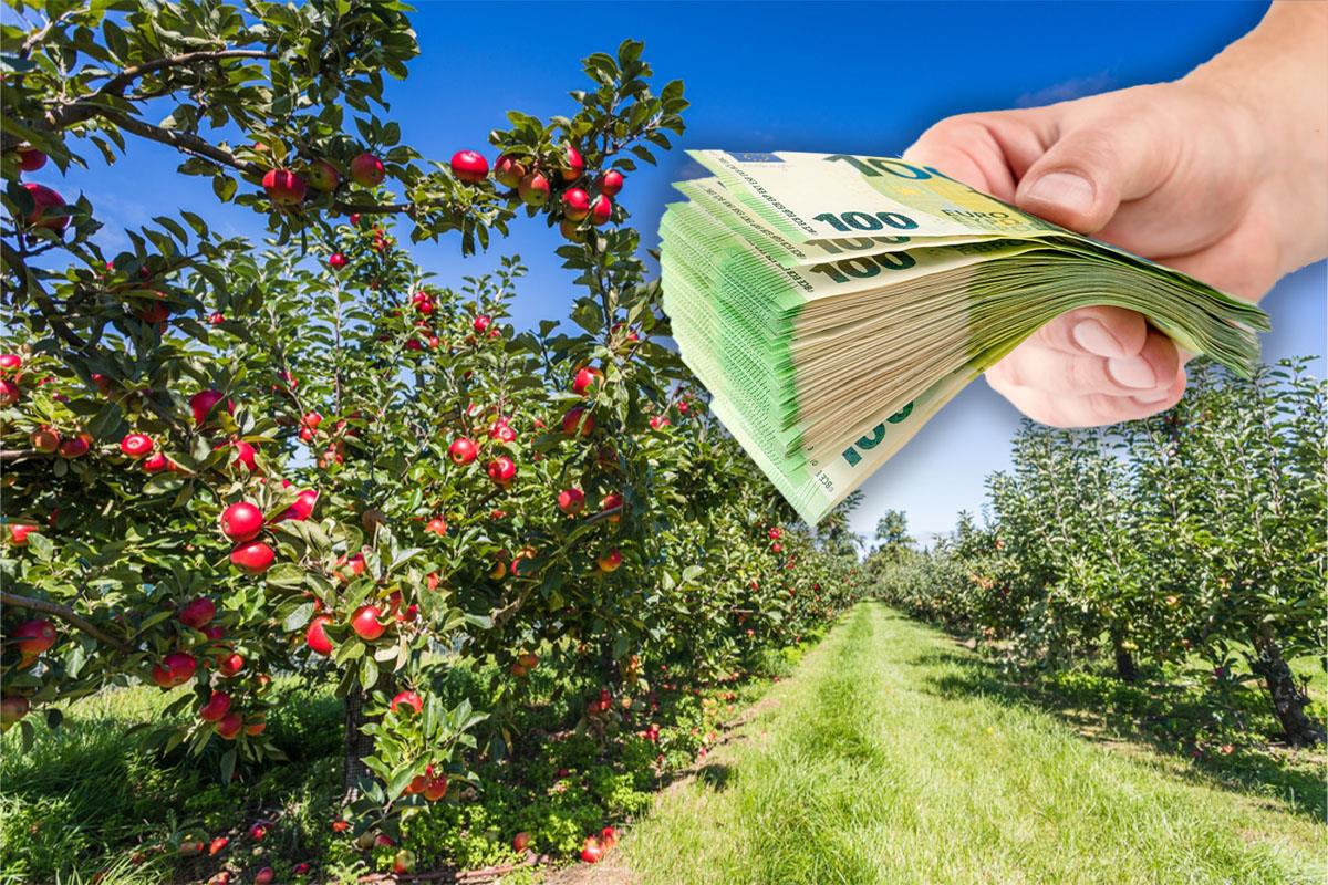 Država dreši kesu za jednu grupu građana: Evo ko ima pravo da dobije do 5 miliona dinara Država dreši kesu za jednu grupu građana: Evo ko ima pravo da dobije do 5 miliona dinara