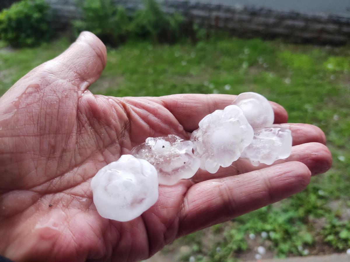 Grad veličine lešnika i jaja dokrajčio preostalo voće: Mraz pre mesec dana napravio štetu od 3 milijarde, Topolčanima je samo ovo falilo Grad veličine lešnika i jaja dokrajčio preostalo voće: Mraz pre mesec dana napravio štetu od 3 milijarde, Topolčanima je samo ovo falilo