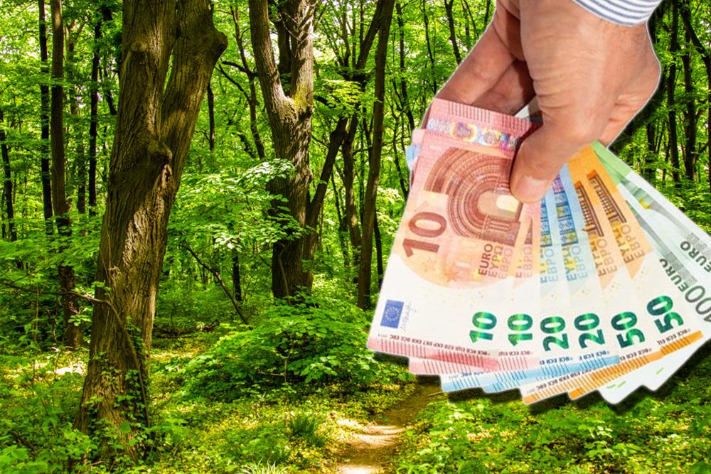 Top 4 banje za odmor u Srbiji! Idealne za letnji odmor, penzioneri ih obožavaju - Vrate se kao ponovo rođeni Top 4 banje za odmor u Srbiji! Idealne za letnji odmor, penzioneri ih obožavaju - Vrate se kao ponovo rođeni