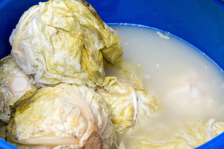 Foam Appeared in Your Sauerkraut Barrel?