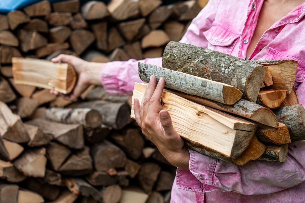 Dele se besplatna drva za ogrev! Pravo na njih ima jedna grupa građana, ali moraju da ispune važne uslove - Evo kako da se prijavite Dele se besplatna drva za ogrev! Pravo na njih ima jedna grupa građana, ali moraju da ispune važne uslove - Evo kako da se prijavite