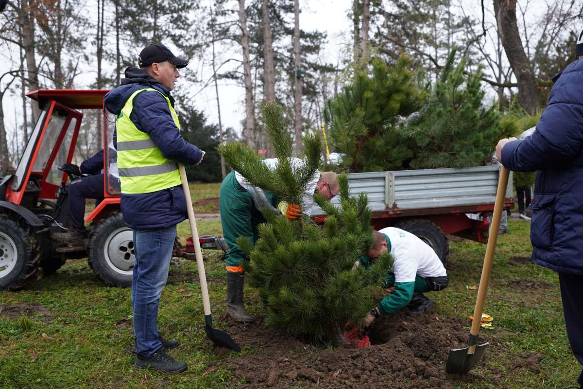 Zaposleni kompanije Carlsberg Srbija u akciji sadnje obnovili park u Čelarevu