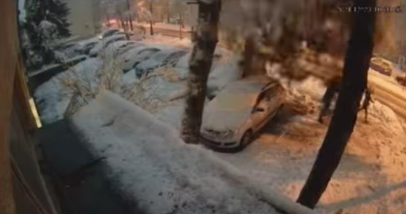 UZNEMIRUJUĆ SNIMAK IZ BANJALUKE: Drvo pada na prolaznika, drugi za dlaku izbegao nesreću (VIDEO)