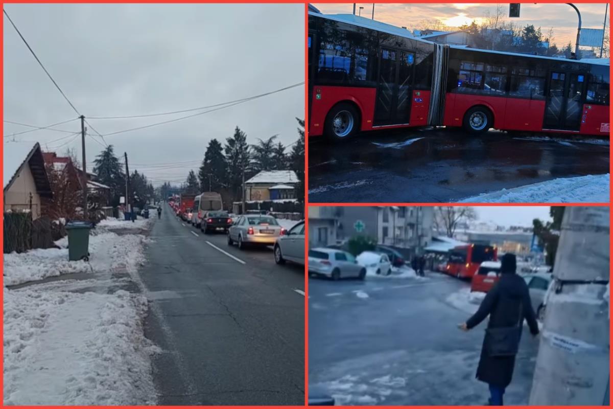 POLEDICA U BEOGRADU, STVARAJU SE GUŽVE U SAOBRAĆAJU: Autobus na Petlovom brdu udario u semafor, pojedine linije obustavljene (FOTO/VIDEO)