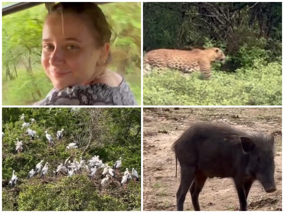 Miljana imala bliski susret s leopardom na Šri Lanki, opisala do detalja šta se zbilo: "Nismo gajili nade, ali imali smo previše sreće tog dana!" (VIDEO)