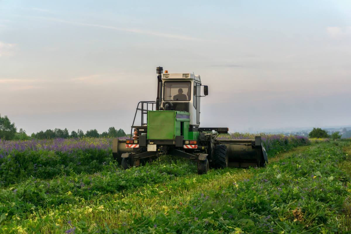 Nova pomoć države paorima: Minimalan iznos 300.000, a neko će dobiti i 7 miliona dinara, uslovi odlični Nova pomoć države paorima: Minimalan iznos 300.000, a neko će dobiti i 7 miliona dinara, uslovi odlični