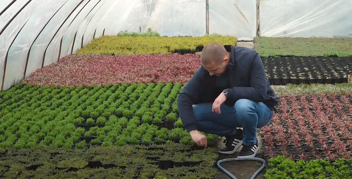 Prvo zamotavali u novine, a onda pakovali u čaše od jogurta! Kako su Matići iz Ratara od nule stvorili uspešan biznis na samo 8 ari placa! (video) Prvo zamotavali u novine, a onda pakovali u čaše od jogurta! Kako su Matići iz Ratara od nule stvorili uspešan biznis na samo 8 ari placa! (video)