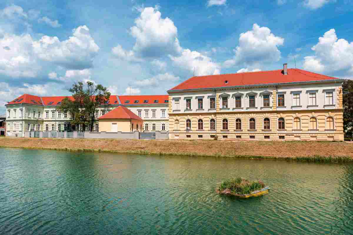 WORTHY OF PRAISE, THE BEST AMONG THE BEST! Dušan Antić from Zrenjanin wins first prize at the prestigious Medijana Festival! (PHOTO)