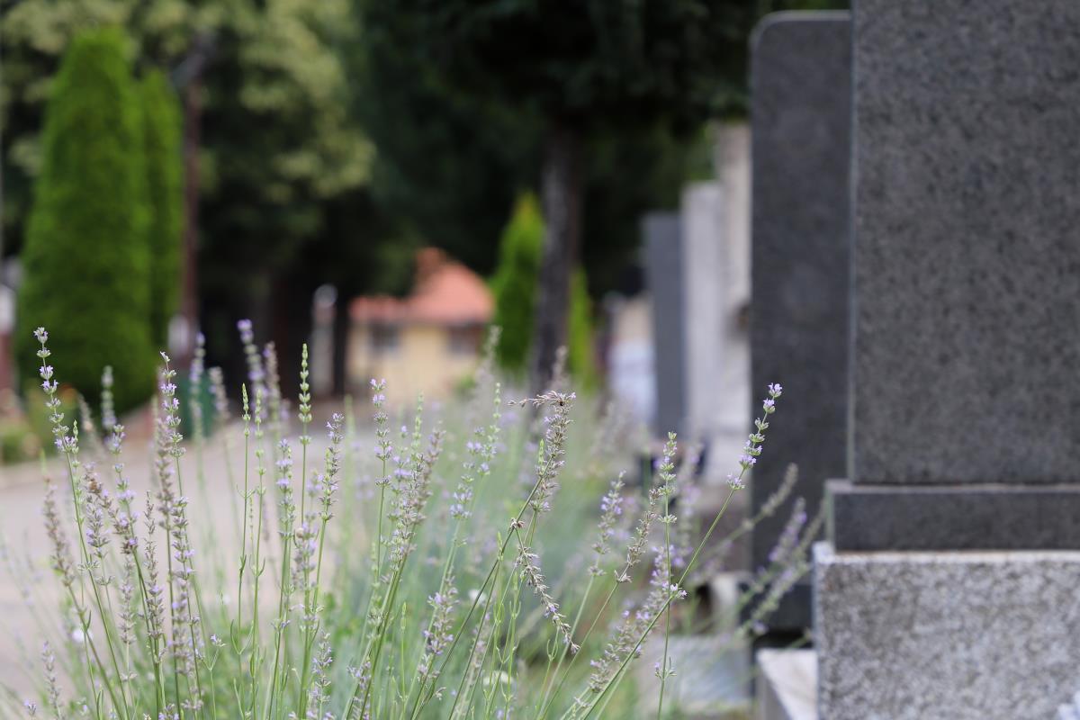 Prenos prava korišćenja grobnog mesta