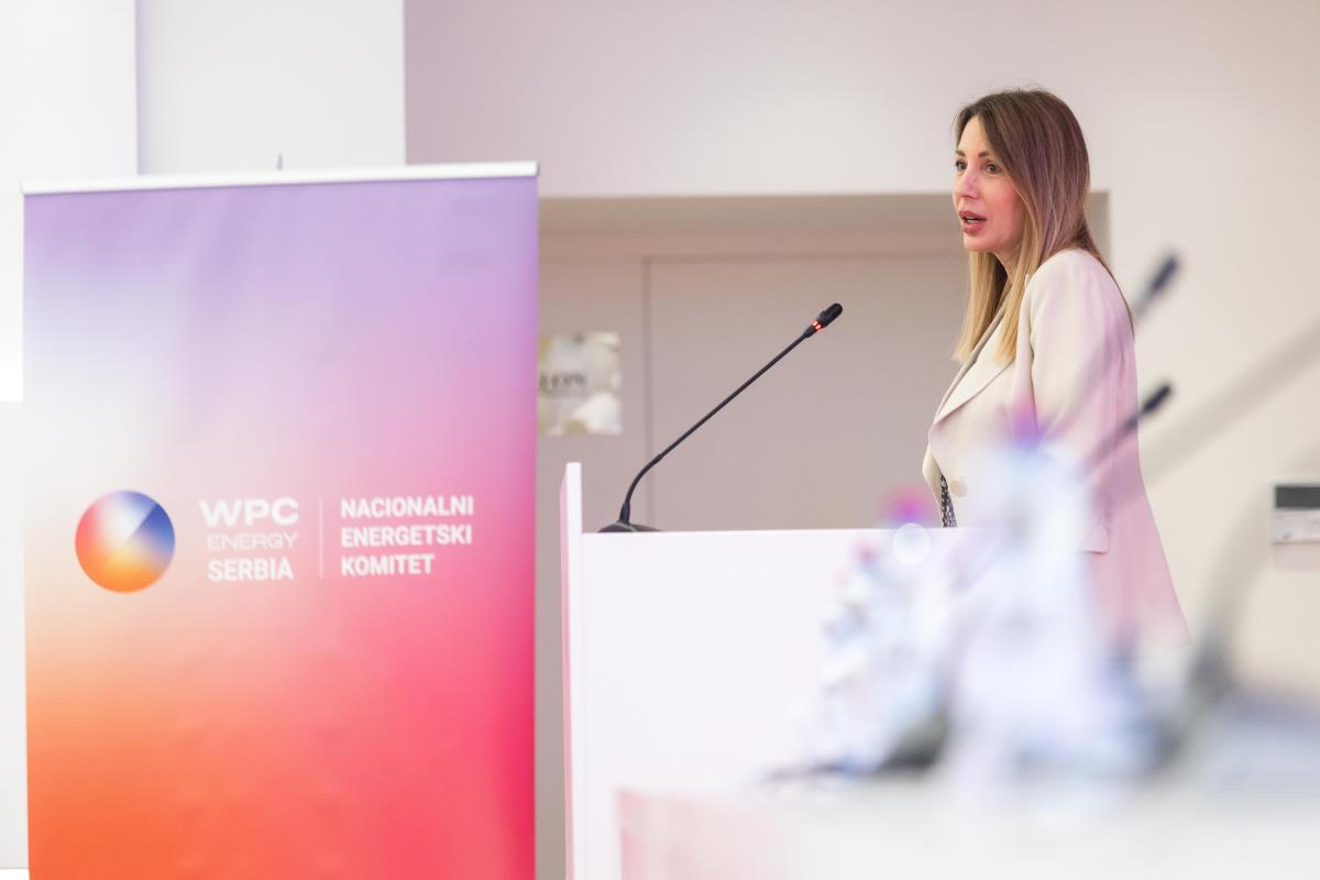 Investicije ključne Đedović Handanović: Srbija se uspešno nosila sa izazovima energetske krize Investicije ključne Đedović Handanović: Srbija se uspešno nosila sa izazovima energetske krize