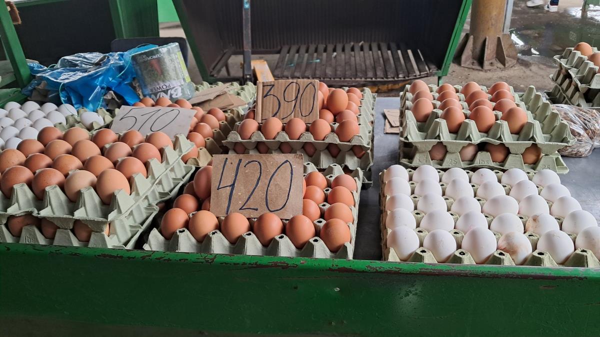 Cena jaja pred vaskrs pala za više od 40 odsto! Ovo je glavni razlog pojeftinjenja, a evo šta nas očekuje posle praznika Cena jaja pred vaskrs pala za više od 40 odsto! Ovo je glavni razlog pojeftinjenja, a evo šta nas očekuje posle praznika