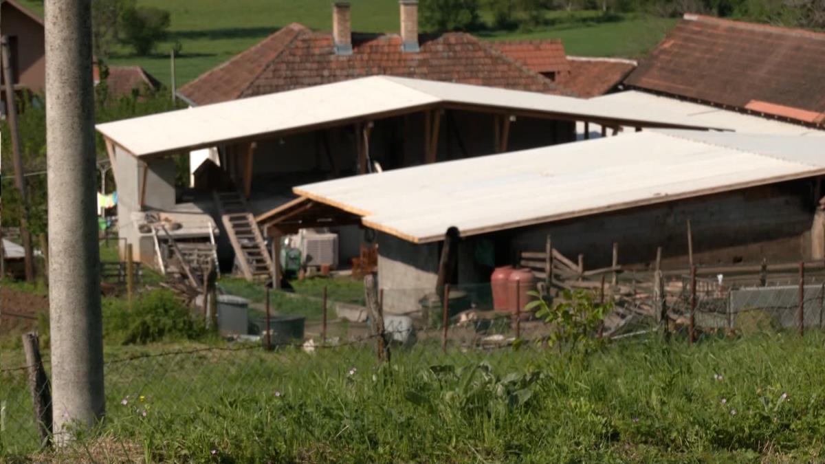 Zašto su se ljudi ugušili u septičkoj jami u Topoli? | Kurir