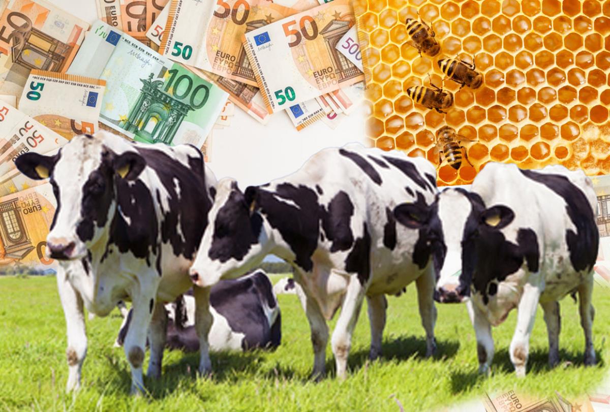 Ova vest će obradovati poljoprivrednike: Država sprema milionske subvencije, a evo za šta su namenjene Ova vest će obradovati poljoprivrednike: Država sprema milionske subvencije, a evo za šta su namenjene