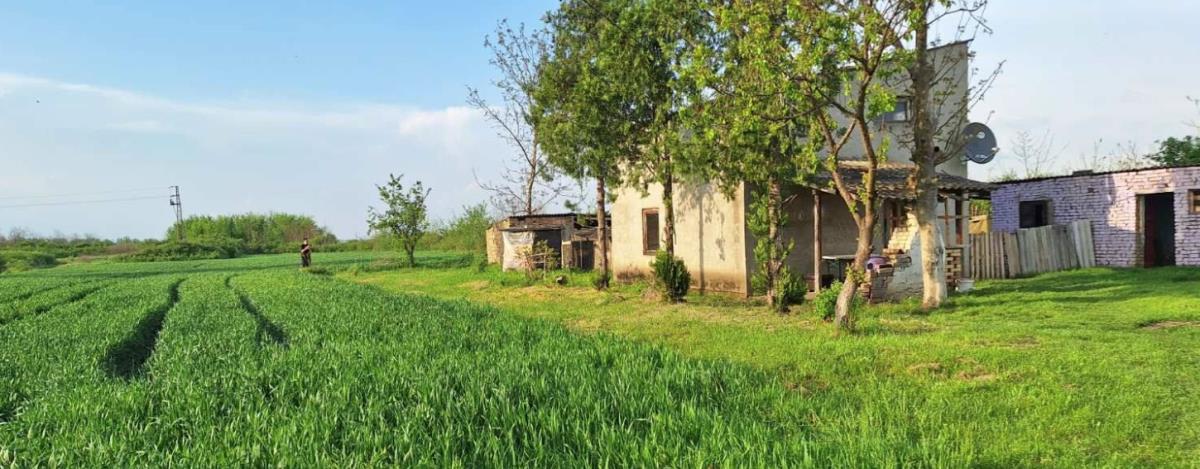 Seosko imanje daju za siću! Uz kuću idu ogromno poljoprivredno, ali i građevinsko zemljište, a dvorište je mali raj