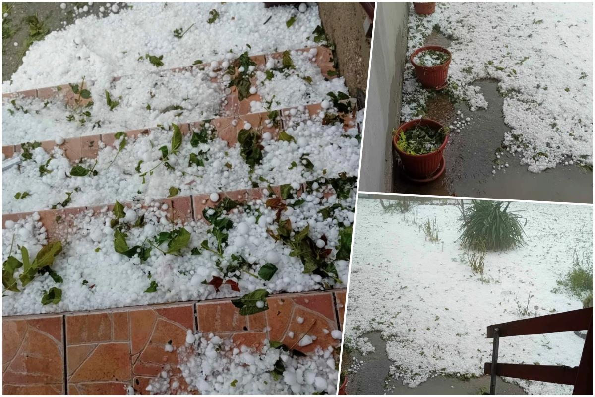 Voćnjaci opustošeni! Mali proizvođači očajni! Sistemi protivgradne zaštite im preskupi, pa platili danak uzdanja u sreću Voćnjaci opustošeni! Mali proizvođači očajni! Sistemi protivgradne zaštite im preskupi, pa platili danak uzdanja u sreću