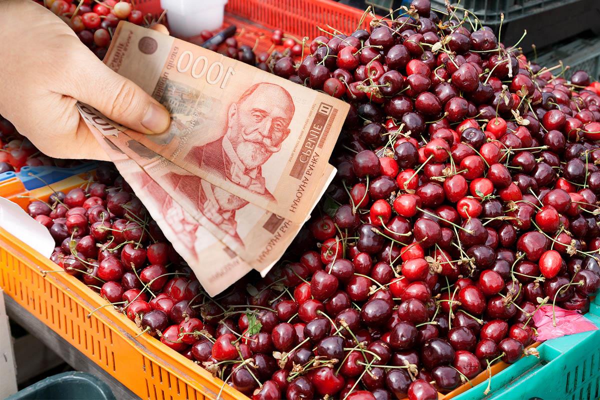 Stigle prve domaće trešnje na beogradske pijace: Evo koliko košta kilogram na Đermu - mnogi će dobro razmisliti pre kupovine Stigle prve domaće trešnje na beogradske pijace: Evo koliko košta kilogram na Đermu - mnogi će dobro razmisliti pre kupovine