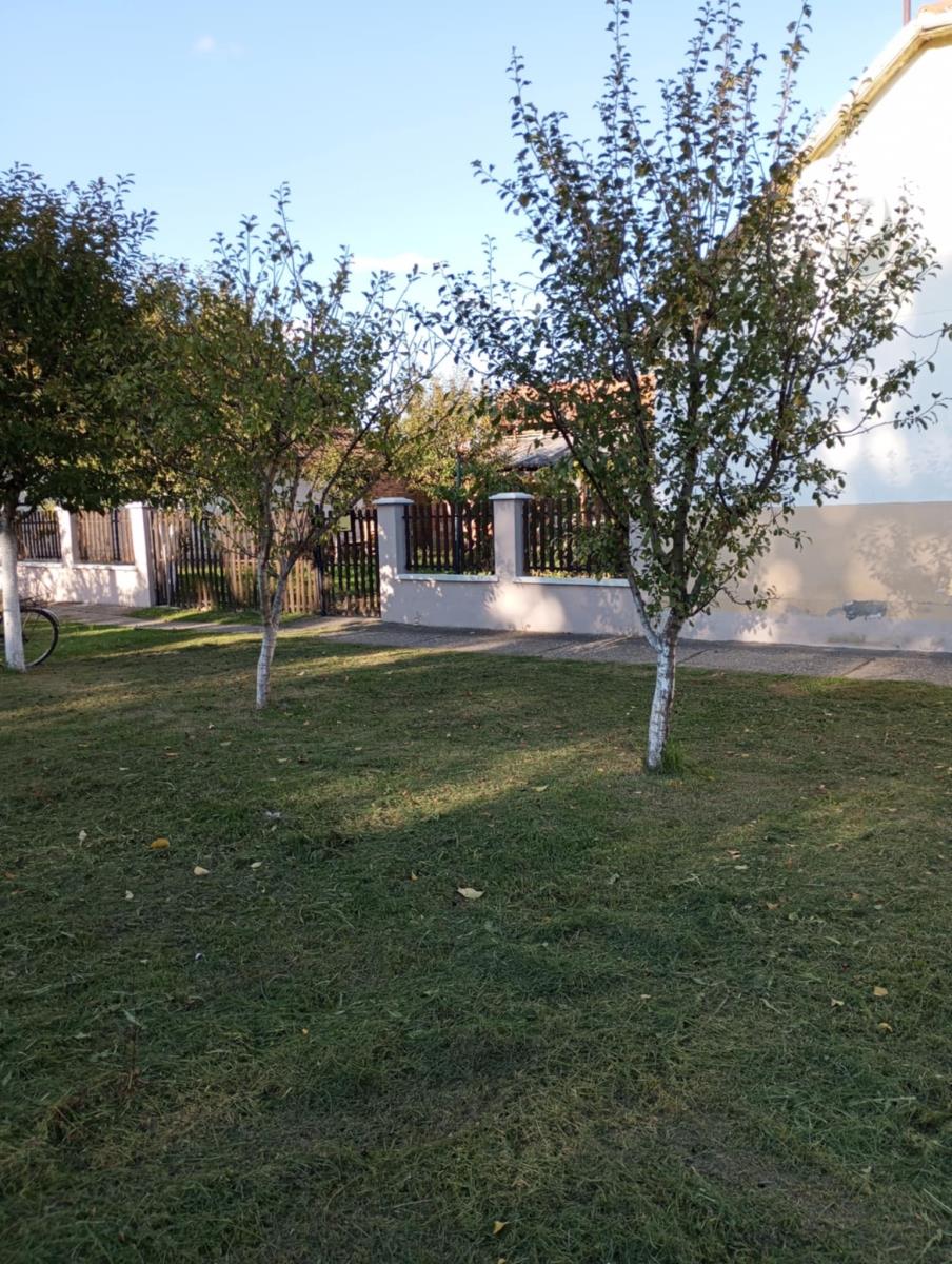 Na sat vremena od Beograda prodaju imanje za 27.000 €: Plac pun voćki, ima 10 ari, kuća uknjižena i bez dugova