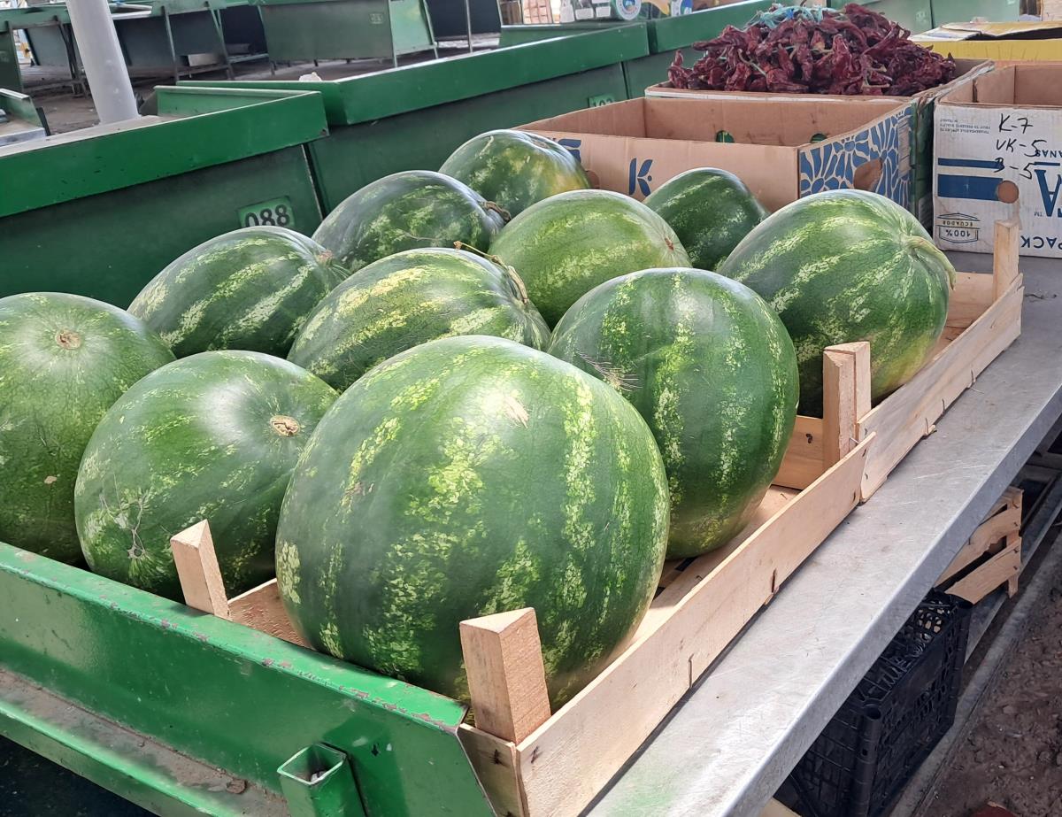 Stigle lubenice, ali ne domaće! Na pijacama se ljudi grabe za slatke komade, a trgovci traže papreno da se plati Stigle lubenice, ali ne domaće! Na pijacama se ljudi grabe za slatke komade, a trgovci traže papreno da se plati