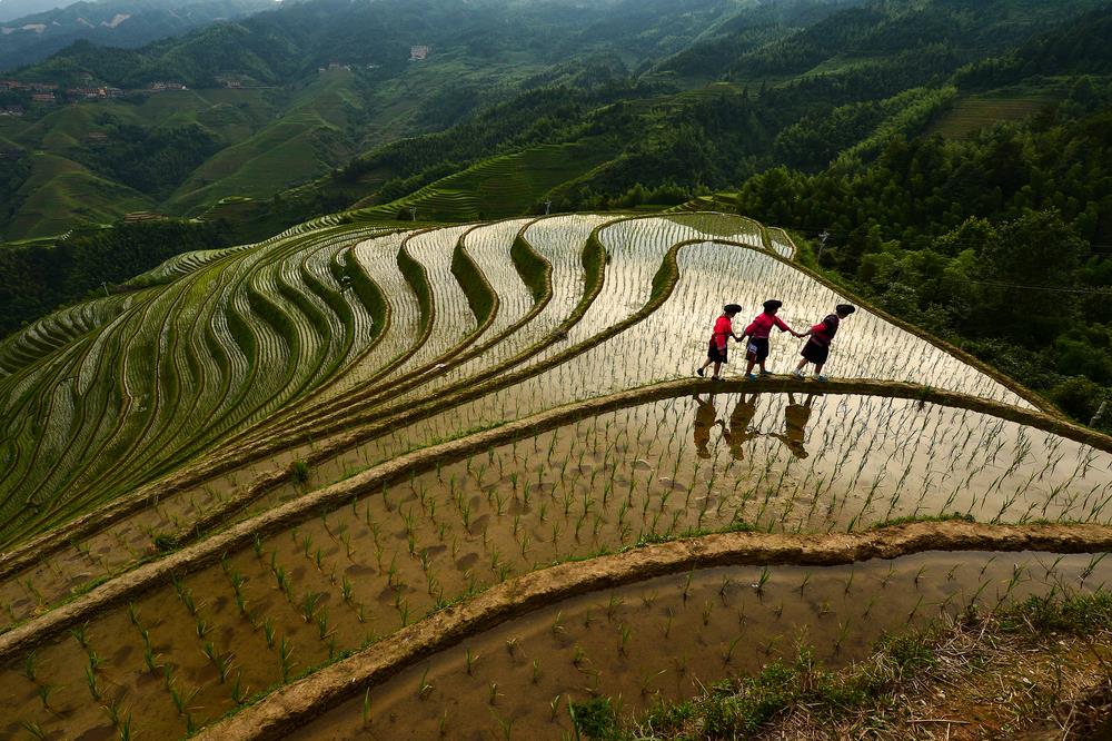 Japan ukida 50 godina staru zabranu! Za proizvodnju jedne namirnice više neće biti ograničenja
