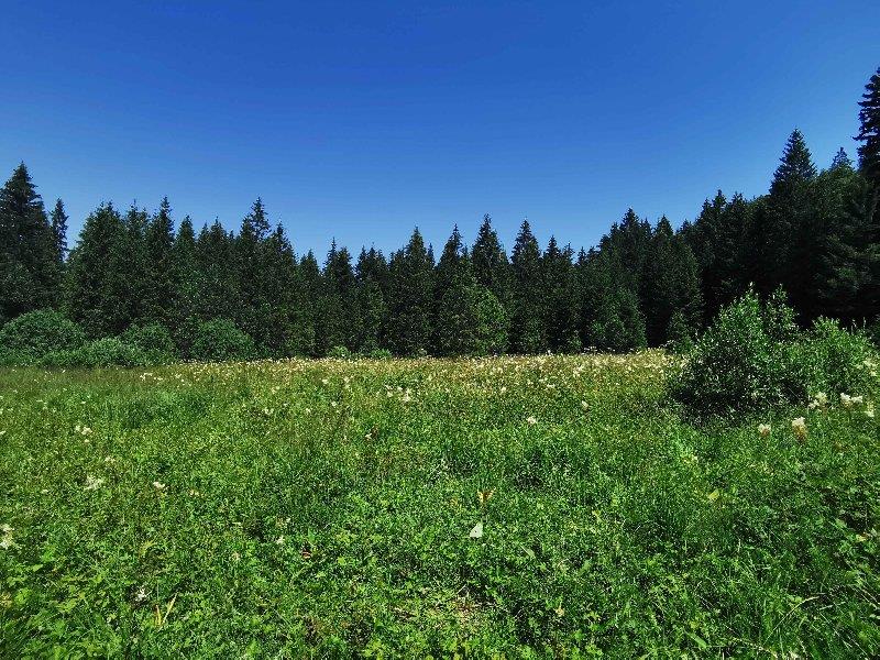 Gde da iskoristite slobodne dane za Dan primirja? Ovih pet destinacija u Srbiji nude jeftin smeštaj i nestvarnu prirodu