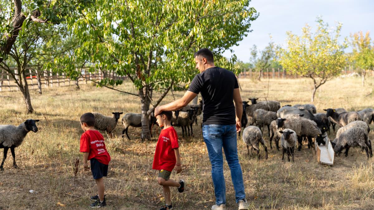 Kamiondžija bojan gazio Nemačke drumove kad je rekao SAD je dosta! Sa ženom, dva sina i ovom idejom u glavi, pravac Srbija! I uspelo mu, sad živi svoj san foto Kamiondžija bojan gazio Nemačke drumove kad je rekao SAD je dosta! Sa ženom, dva sina i ovom idejom u glavi, pravac Srbija! I uspelo mu, sad živi svoj san foto