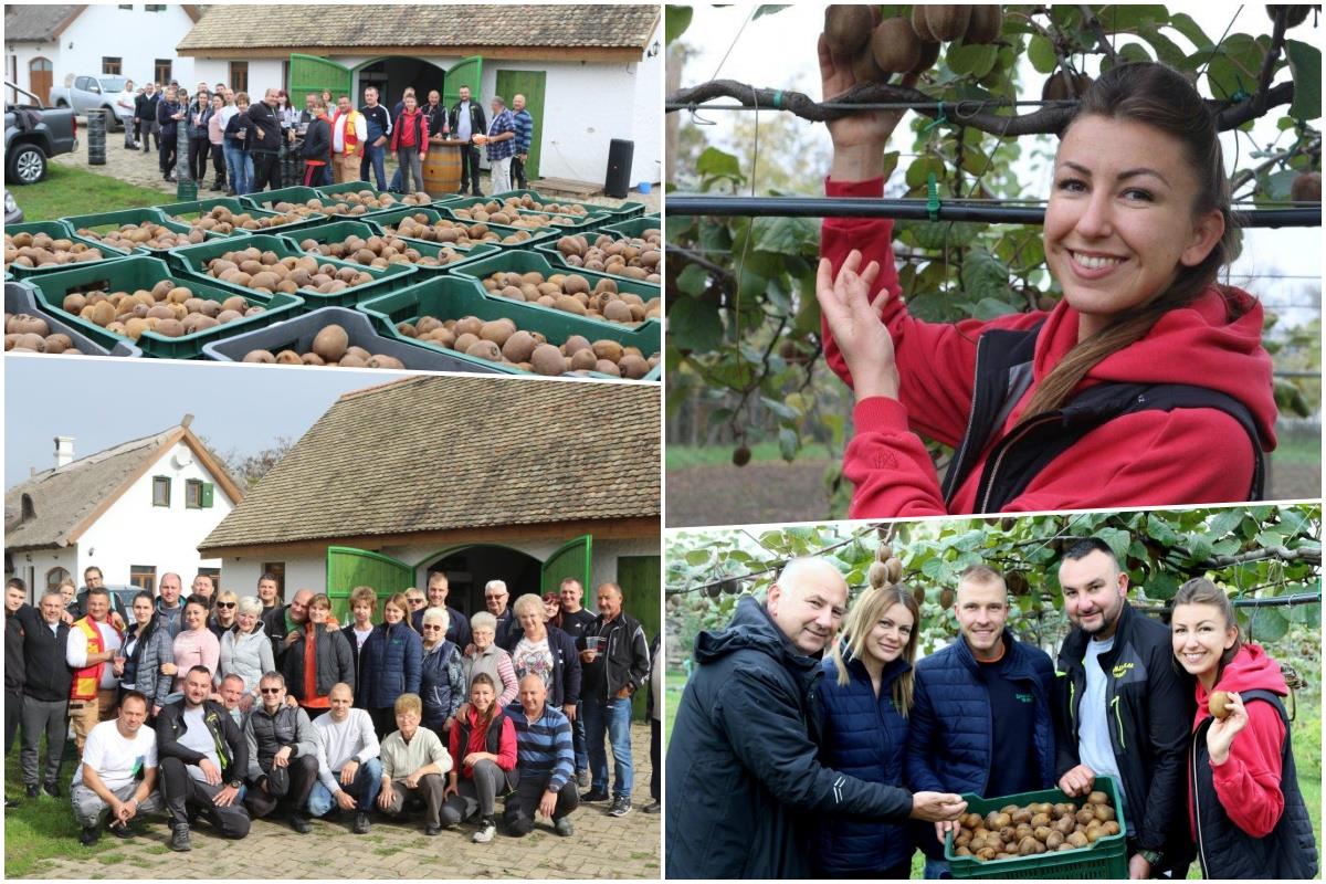 Betinin organski kivi osvaja tržište Srbije: Od porodičnog biznisa napravili imperiju - "Bez rizika nema ni upeha"!