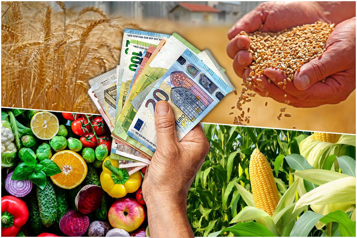 Podbacio rod voća i žita, ali nećemo biti gladni! Evo hoćemo li imati išta za izvoz i koliko ćemo zaraditi Podbacio rod voća i žita, ali nećemo biti gladni! Evo hoćemo li imati išta za izvoz i koliko ćemo zaraditi