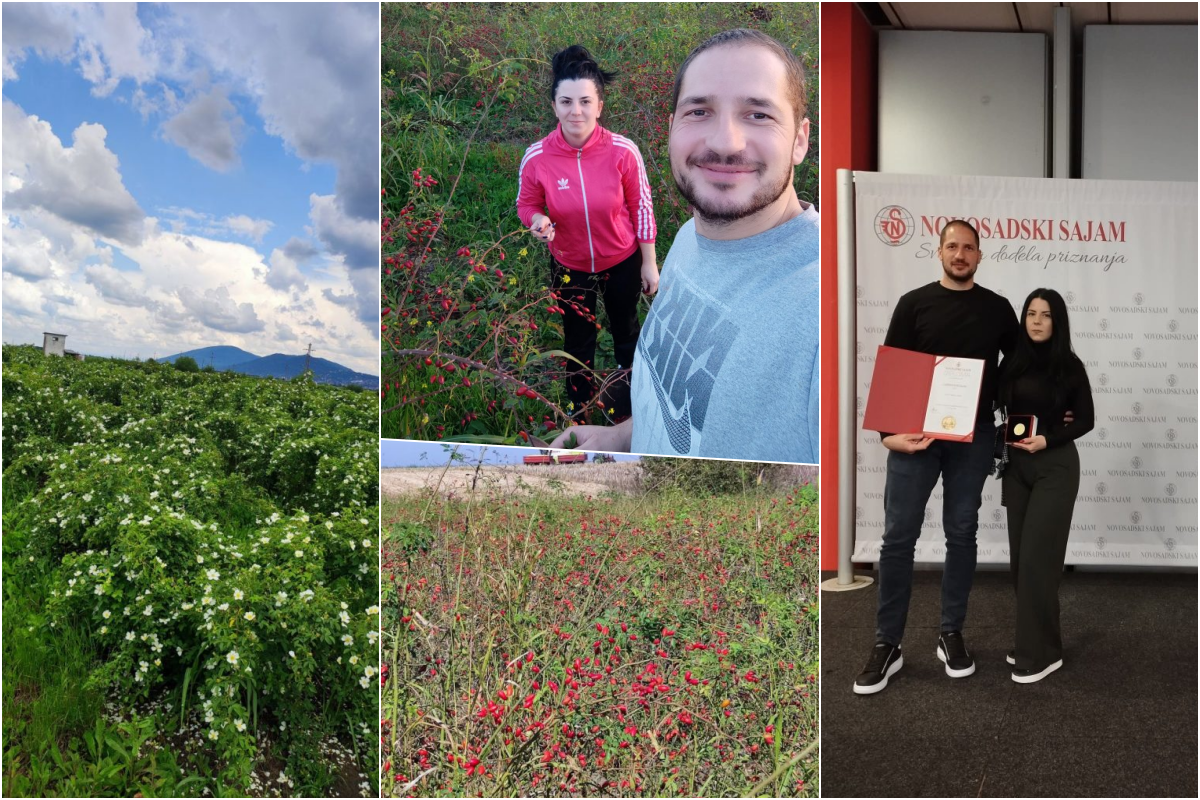 Vujadinov džem od šipurka sa čokoladom vraća ukuse detinjstva: Pećkanići inovacijama u preradi osvojili kupce