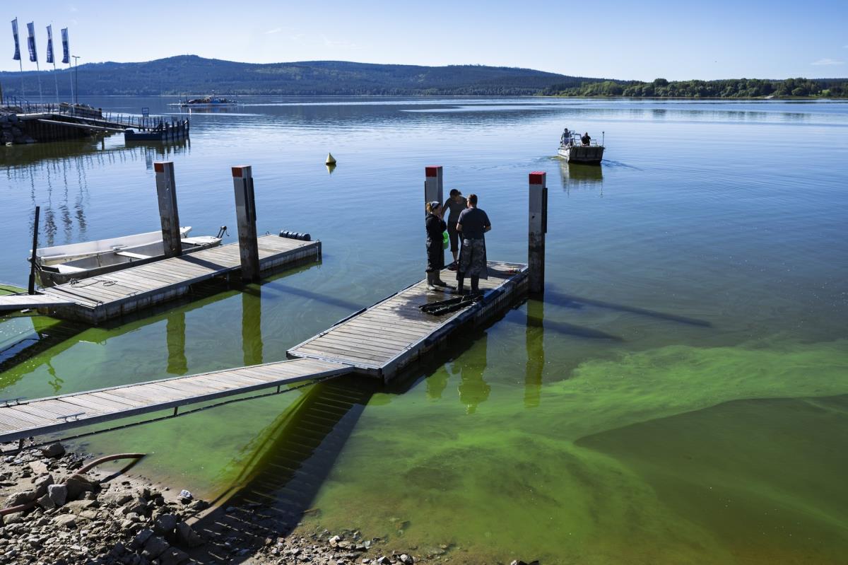 NEOBIČAN FENOMEN U ČEŠKOJ: Jezero u Češkoj prekrio zeleni led, naučnici imaju objašnjenje za ovo