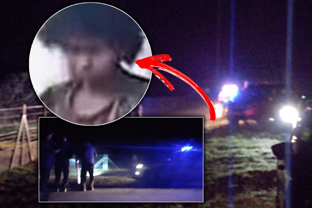 NOVI DETALJI! NAKON PRONALASKA TELA MILICE (25) IZ MEROŠINE, DVE STVARI PROBUDILE MISTERIJU Oglasila se porodica za Kurir "To retko ko radi, možda to nije ona"