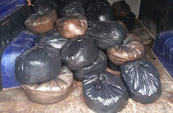 U TERETNOM DELU KAMIONA SAKRIO 260 KILOGRAMA DUVANA! Uhapšen muškarac (35) iz Šapca: Oštetio budžet države za skoro 3 miliona dinara! (FOTO) Kép