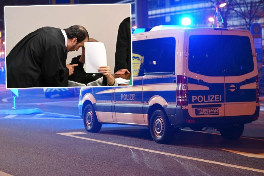 SERB (23) RANG THE DOORBELL, THEN STABBED WEALTHY GERMAN 13 TIMES: Came from Serbia, committed a horrific murder, and fled to France