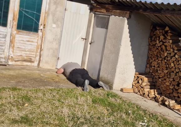 SHOCK IN A VILLAGE NEAR VRANJE! What they found in the yard PARALYZED THEM WITH FEAR: "It was difficult for the owners to watch" They believe it WAS HERE FOR 5 YEARS (VIDEO)