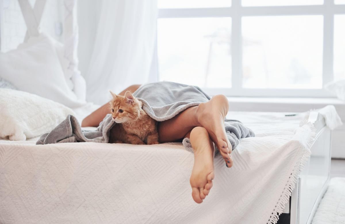 What it means when a cat sleeps right by your feet: Owners often don't know how important this habit is