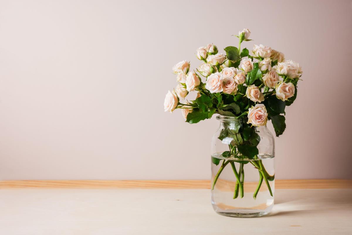 Everyone claims roses in a vase last longer if you do this: Tested 3 popular tricks and only one really works