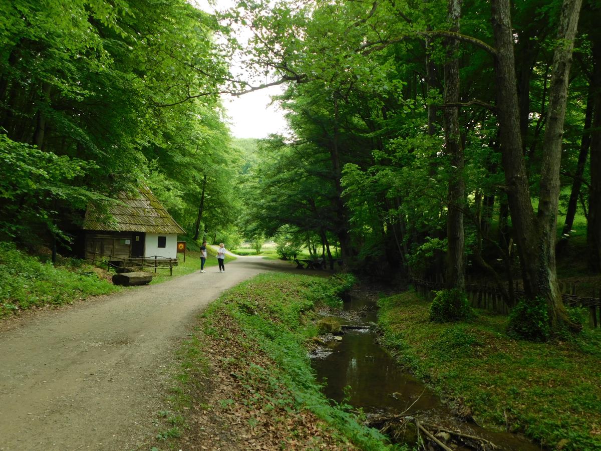 PREVENTING ZERAVIA POLLUTION: Implementation of an important project in Tršić with state support (PHOTO)