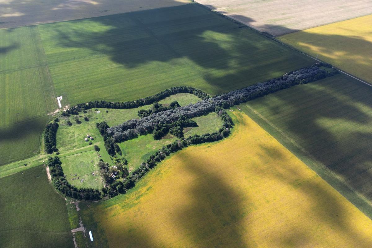 Farmer Fulfilled the Dream of His Wife (25) Who Suddenly Passed Away: This Unreal Sight Can Be Seen Even From Space!