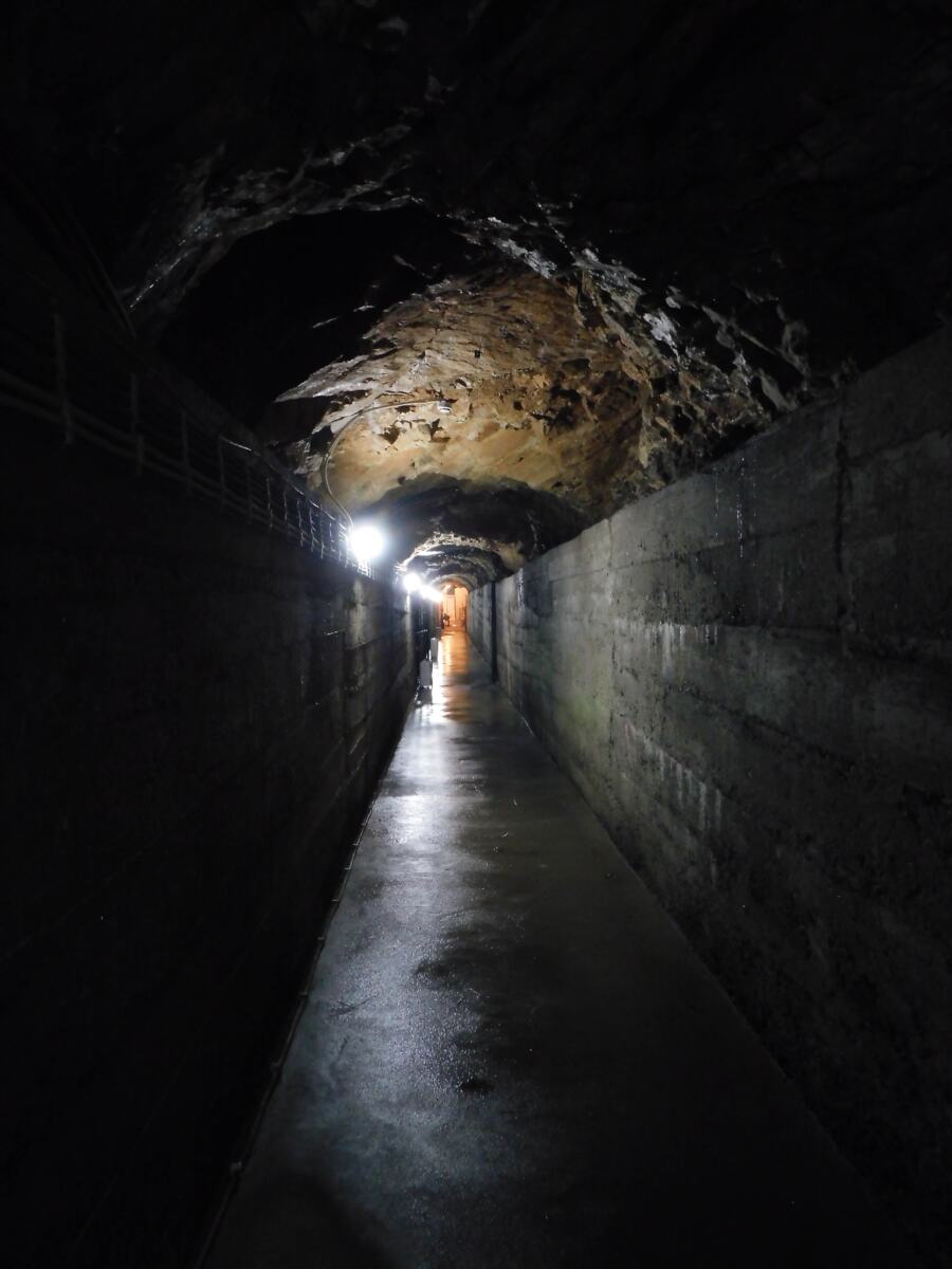 Unveiling "The Secret of the Stone Girl" Third Time in the Karađorđević Underground City of Mali Zvornik (PHOTO)