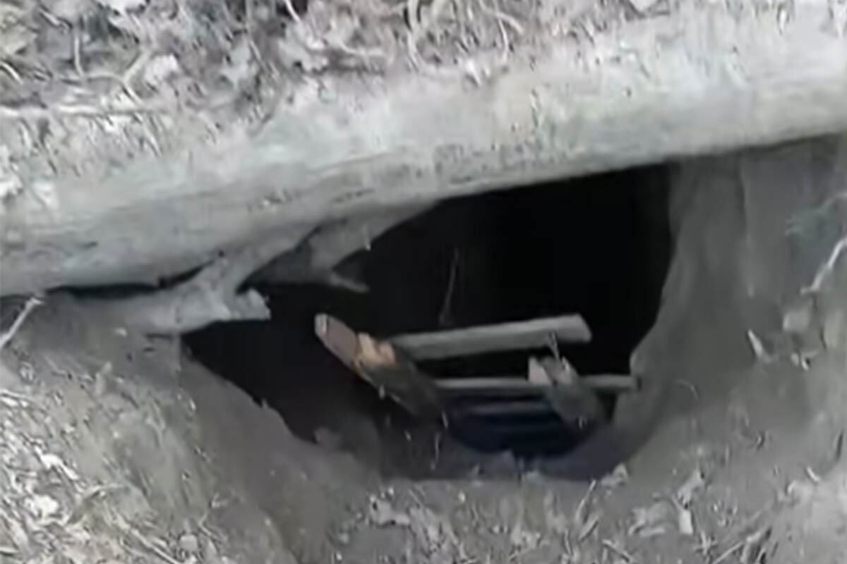(VIDEO) LADDERS DISCOVERED IN THE MIDDLE OF FRUŠKA GORA LEADING TO A DEEP ABYSS Mystery in the forest, a dramatic warning issued: Did someone descend here?