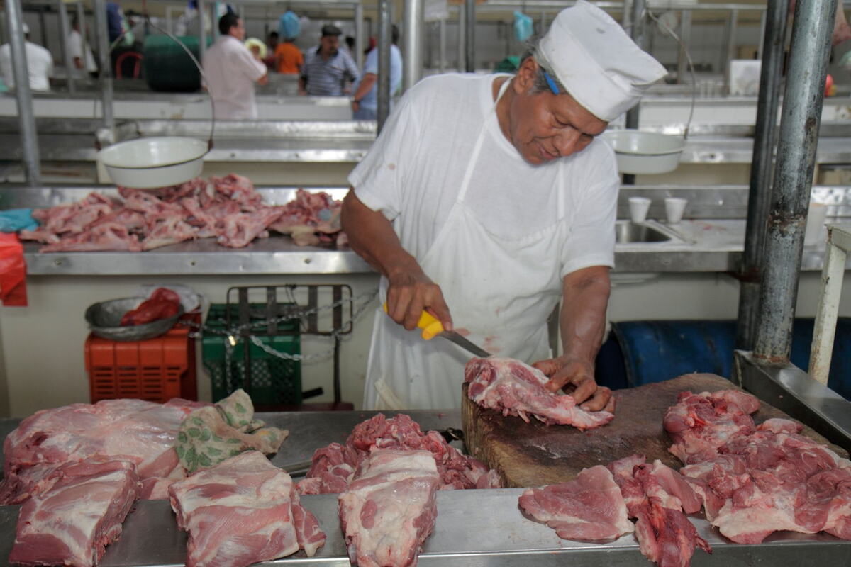 Šta u Srbiji može da se kupi u mesari za 100 dinara: Za ovu novčanicu još ima mesa, evo šta možete pazariti Šta u Srbiji može da se kupi u mesari za 100 dinara: Za ovu novčanicu još ima mesa, evo šta možete pazariti