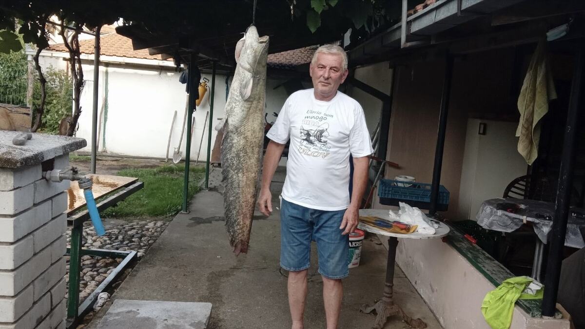 ДРАГАН ПОЙМАЛ РЕДКО ВИДИМОГО В МОРAVE ЗВЕРЯ: Крупный улов после двухчасовой борьбы, рыбаки потеряли дар речи (ФОТО)