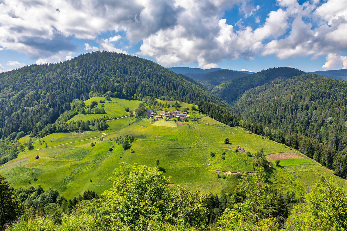 U srcu netaknute prirode na našoj veličanstvenoj planini rađa se nova turistička priča: Park od impozantnih 35.000m² biće prava oaza mira (foto) U srcu netaknute prirode na našoj veličanstvenoj planini rađa se nova turistička priča: Park od impozantnih 35.000m² biće prava oaza mira (foto)